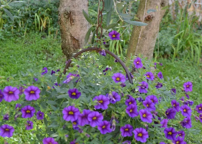 Apartmán La Perla *